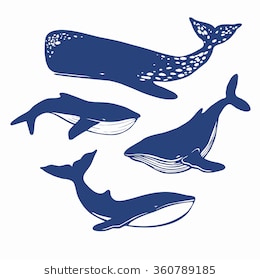 260x280 Collection Of 'blue Whale Silhouette' Download More Than
