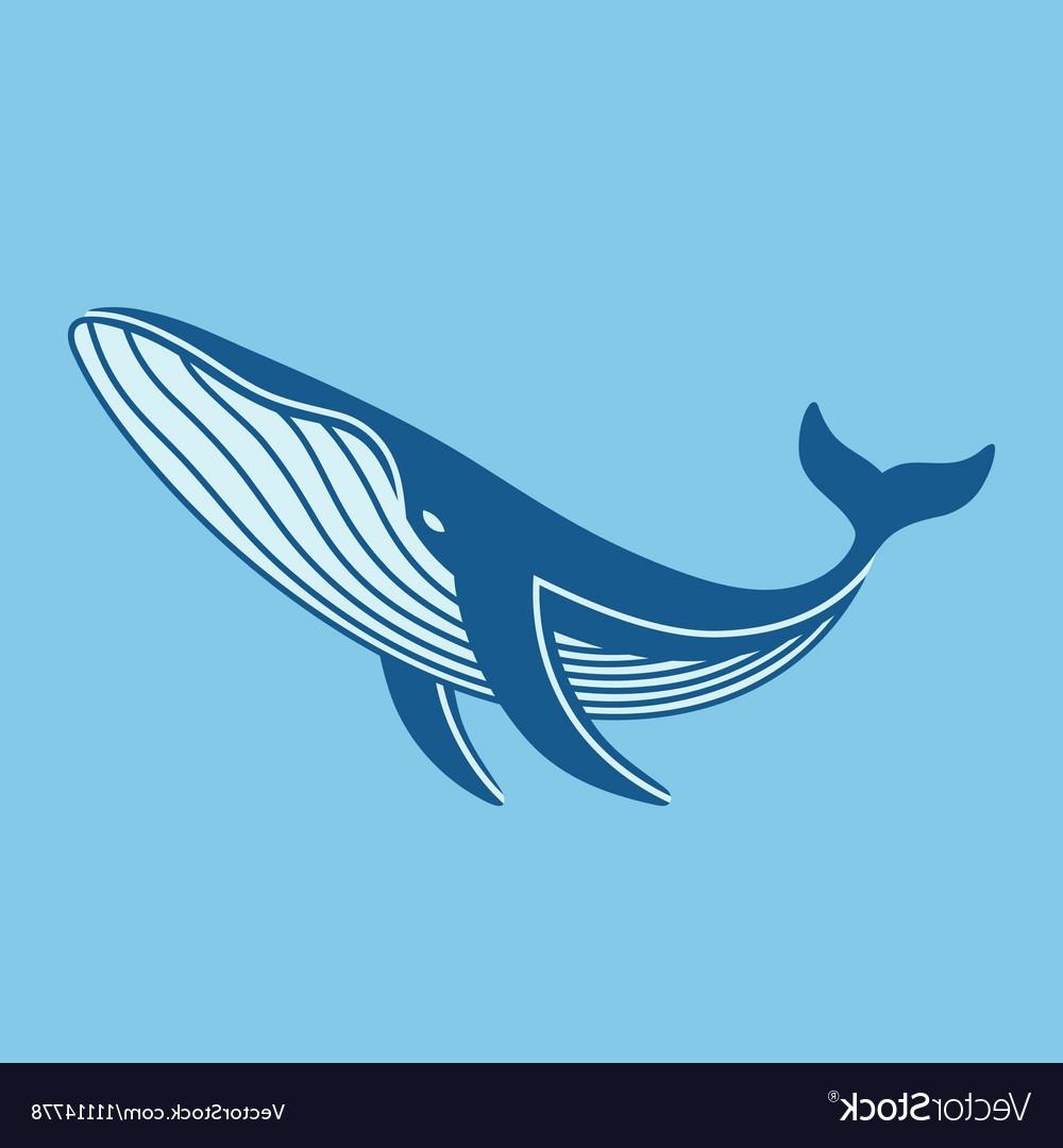 1000x1080 Hd Blue Whale Cut Out Vector Library Vector Images Design