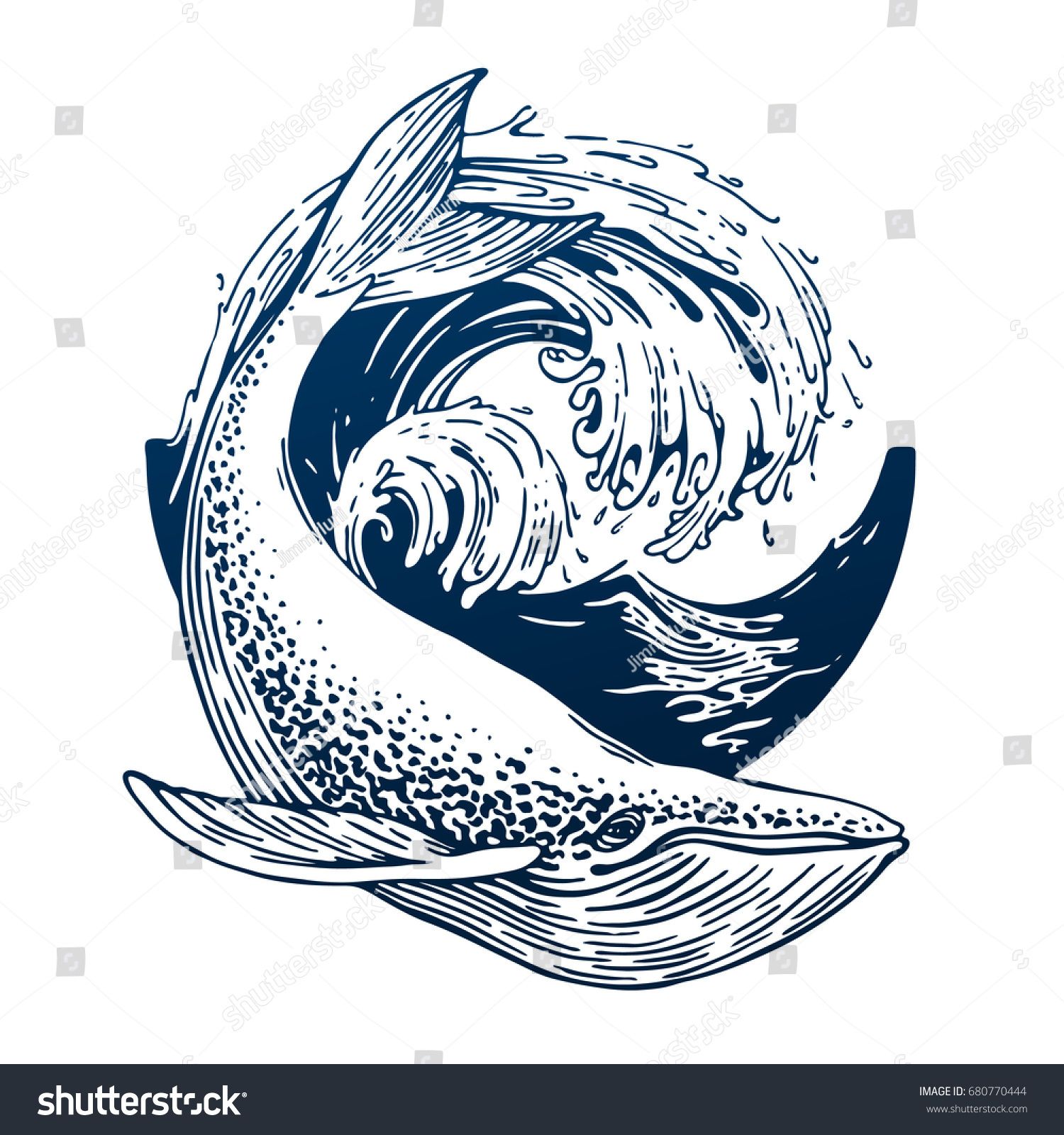 Blue Whale Vector at Vectorified.com | Collection of Blue Whale Vector