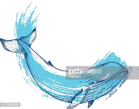 470x367 Big Blue Whale Vector Hand Drawn Abstract Illustration Premium