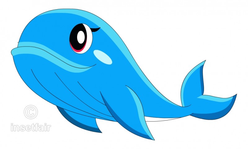 800x480 Little Blue Whale Vector Drawing With Adobe Flash