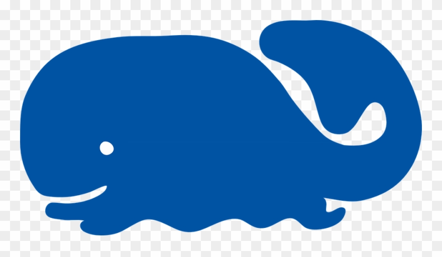 880x512 Whale Clipart Vector