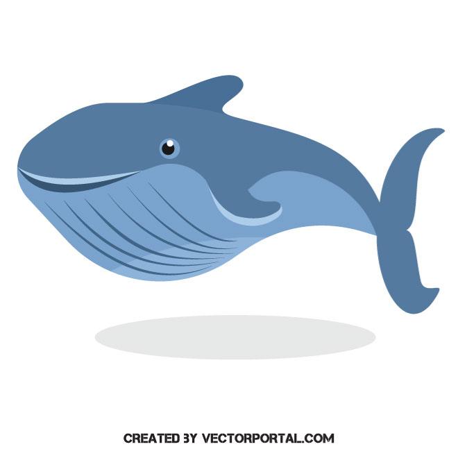 660x660 Big Blue Whale