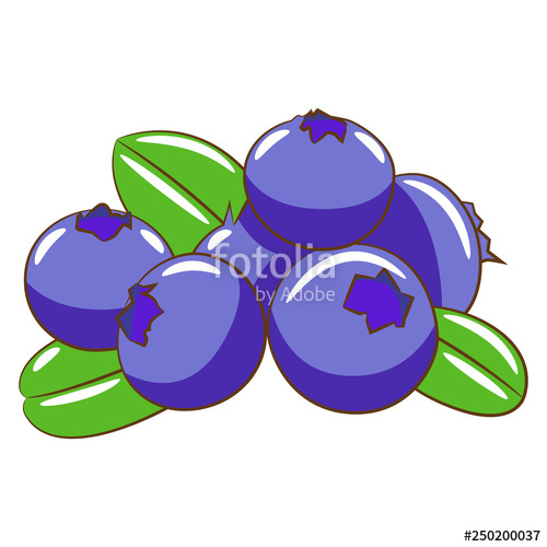 500x500 Blueberry Vector Clipart Stock Image And Royalty Free Vector