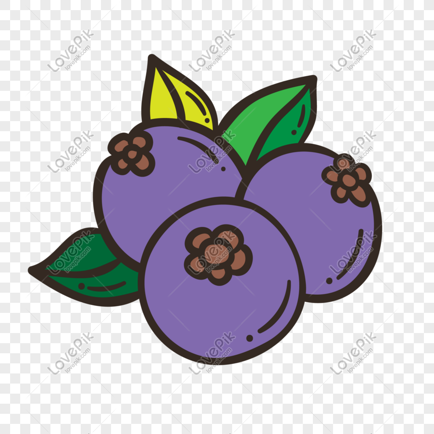 860x860 Blueberry Vector Illustration Png Png Image Picture Free Download