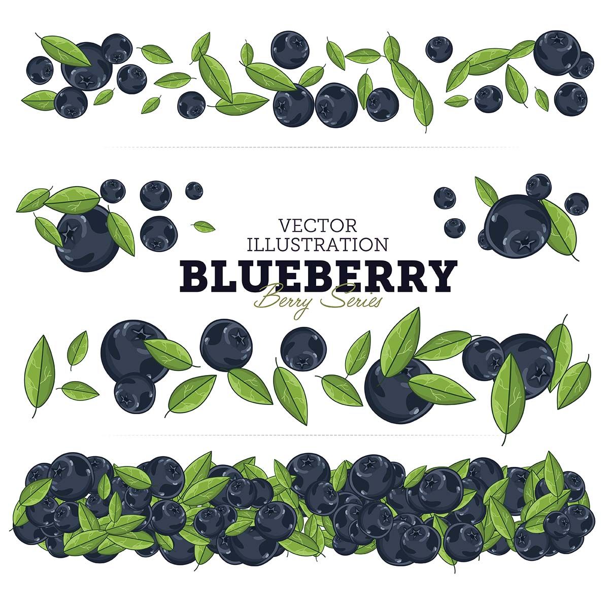 1200x1200 Blueberry Vector Illustration Set Free Vectors,cards