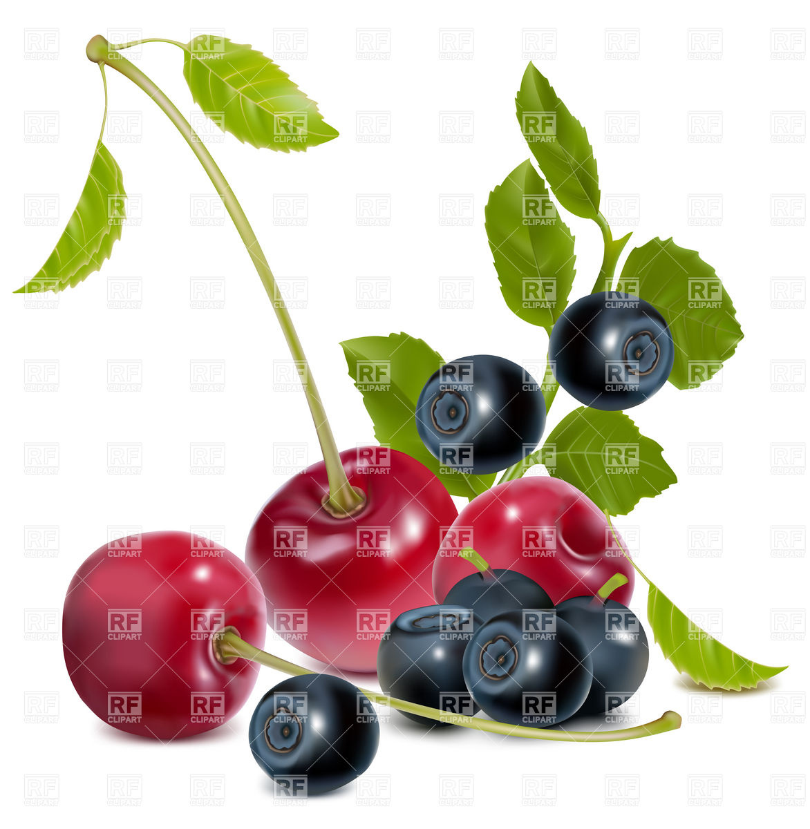 1172x1200 Cherry And Blueberry Vector Image Of Food And Beverages Ivelly