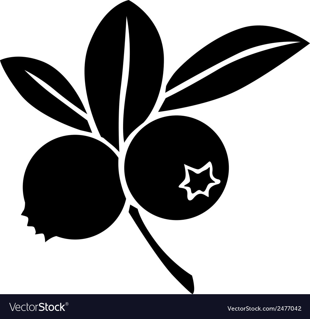 1000x1028 Huge Collection Of 'blueberry Silhouette' Download More Than