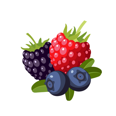 400x400 Page Blueberry On Curated Vector Illustrations, Stock Royalty