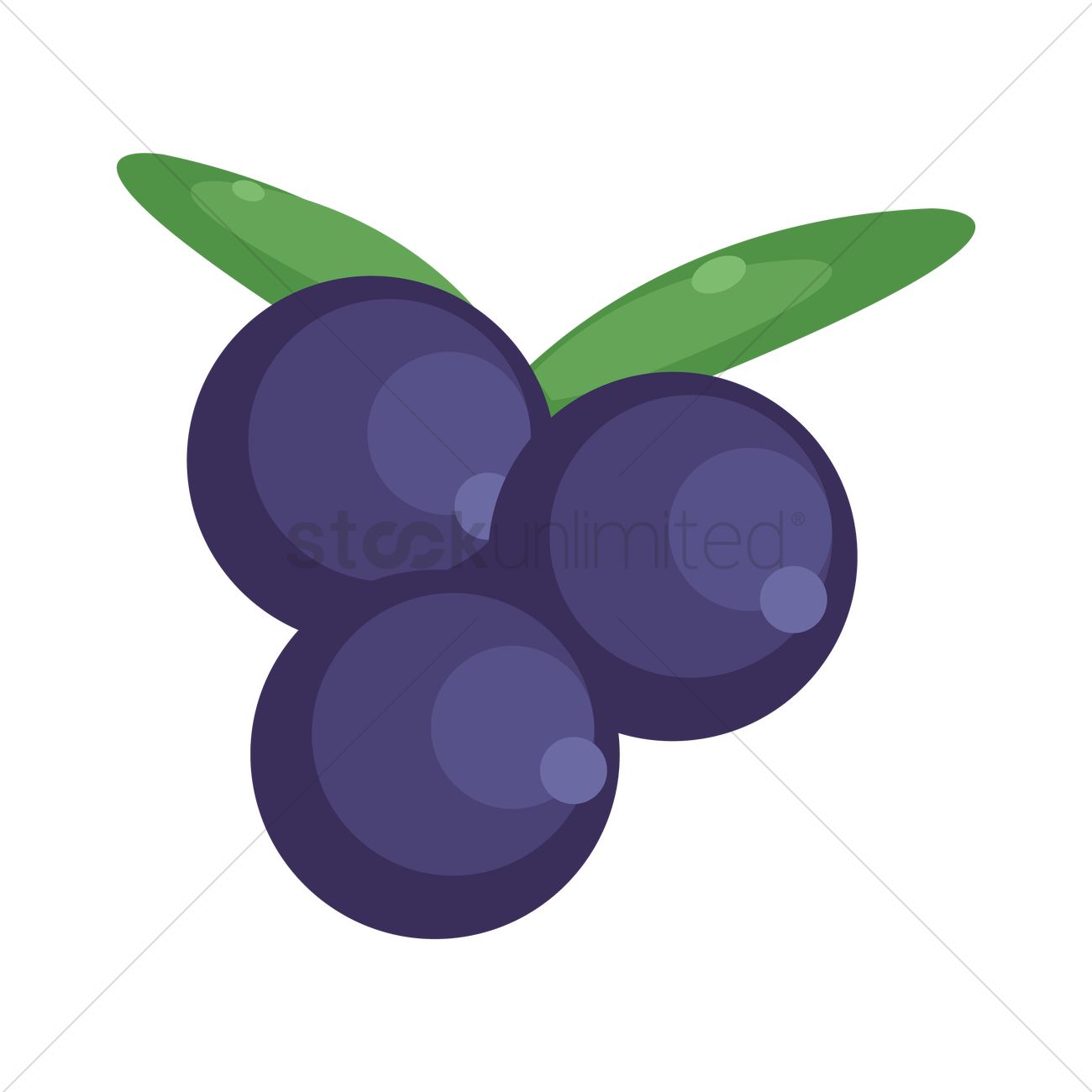 1300x1300 Blueberry Vector Image