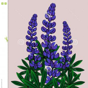 300x300 Photobeautiful Texas Spring Sunset Over A Lake Blooming Bluebonnet