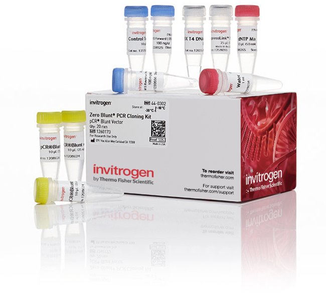 Zero Blunt Pcr Cloning Kit, Without Competent Cells 650x600 Zero Blunt Pcr Cloning Kit, Without Competent Cells