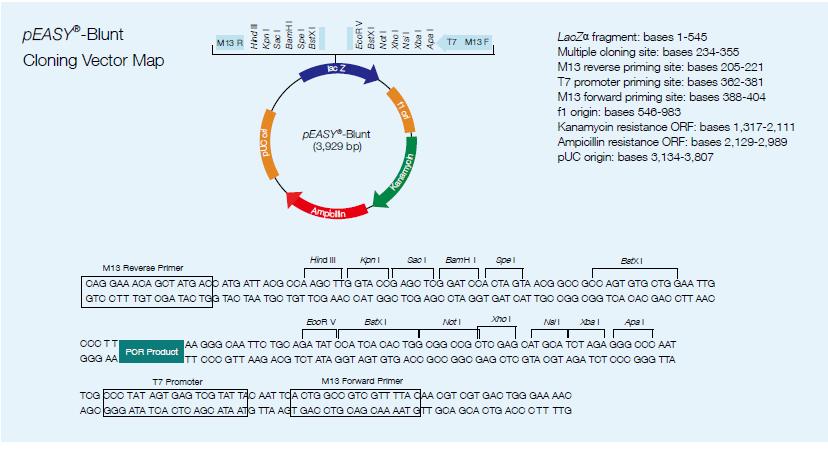 Peasy Blunt Cloning Kit 828x449 Peasy Blunt Cloning Kit