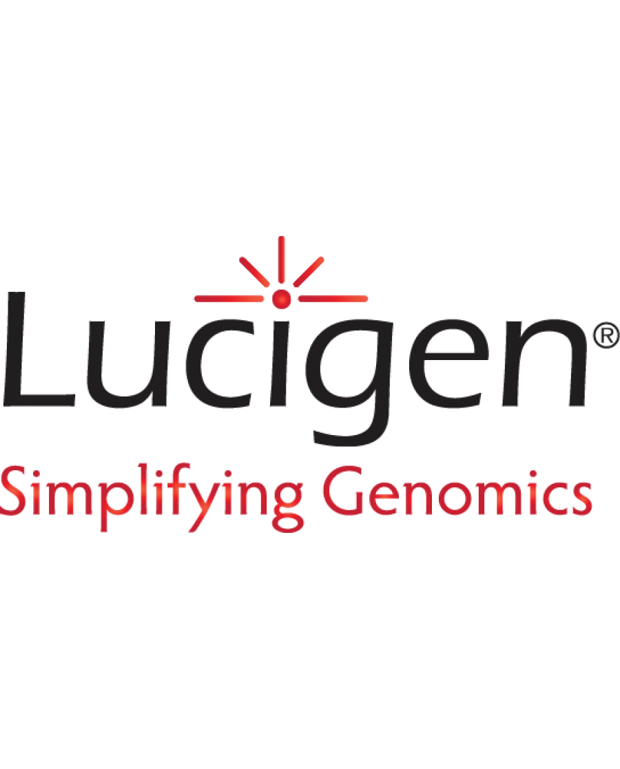 Linear Cloning Kit Ok Blunt Vector 900x1117 Linear Cloning Kit Ok Blunt Vector