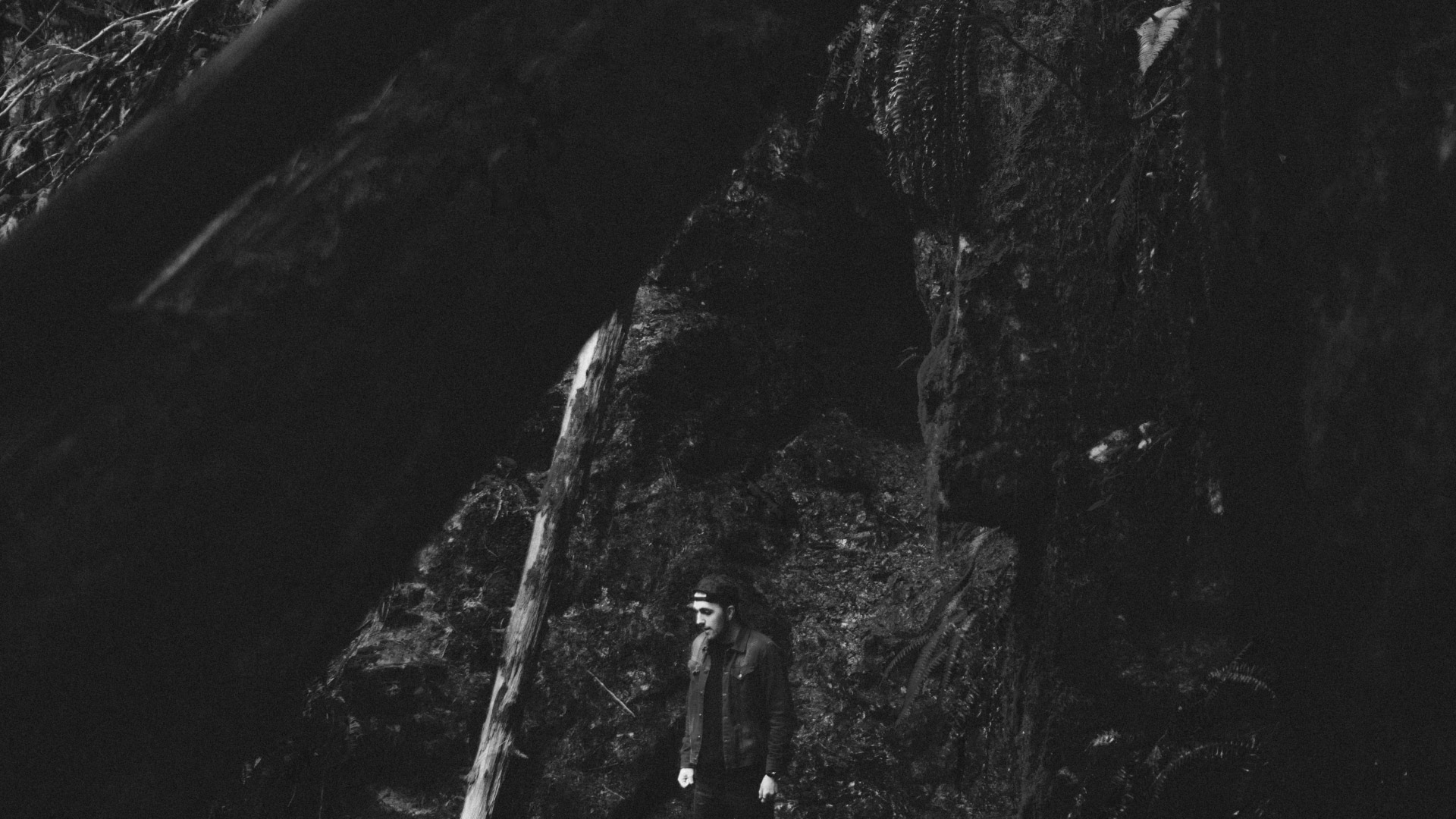 Cc Vector Blur After Effects Library 1920x1080 Cc Vector Blur After Effects Library