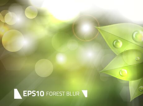 Free Green Forest Blur Vector Background 461x344 Free Green Forest Blur Vector Background