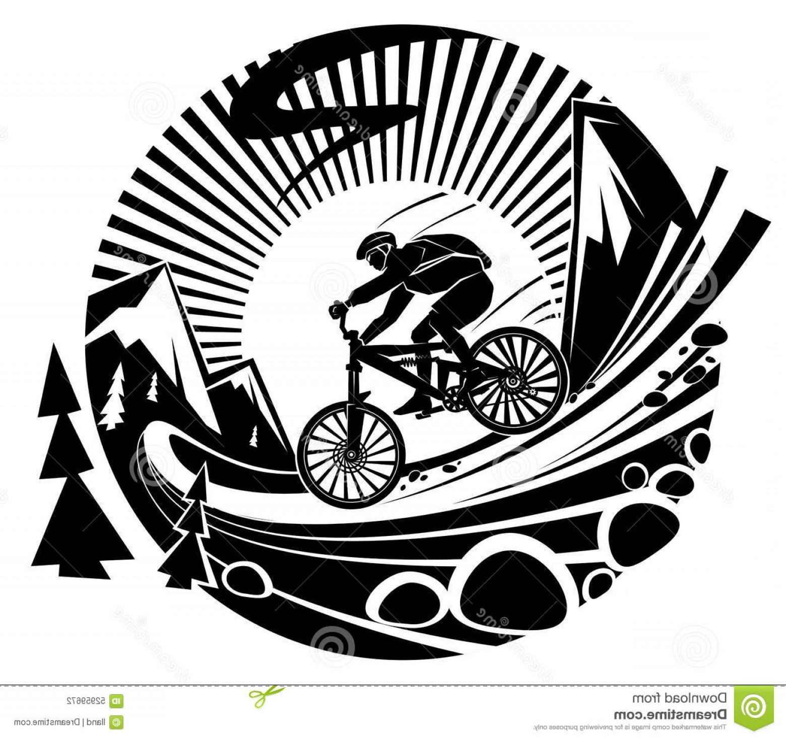 Bmx Bike Vector at Vectorified.com | Collection of Bmx Bike Vector free