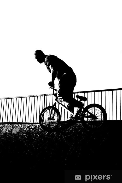 467x700 Bmx Vector Drawing Of A Biker Dropping In Wall Mural Pixers