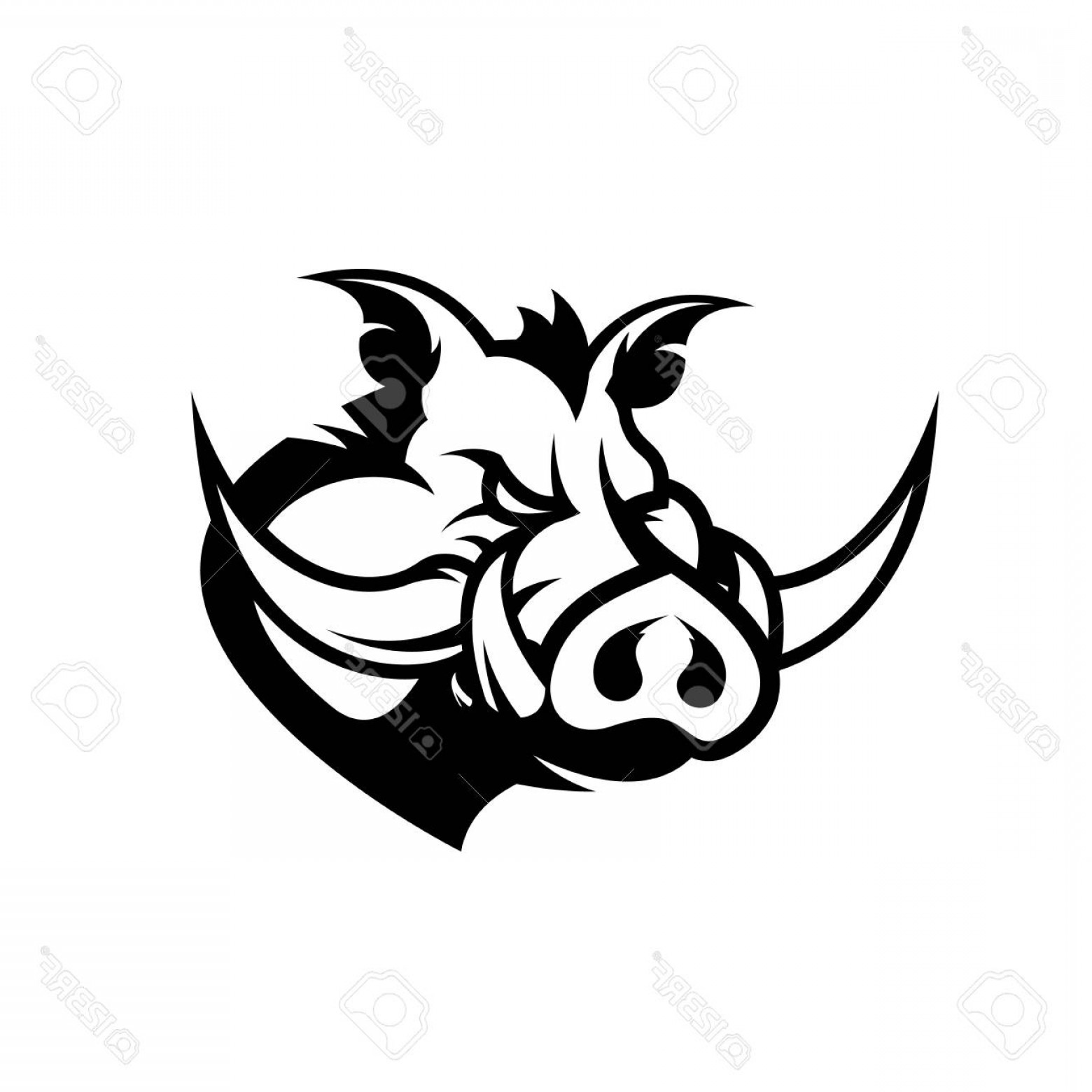 1560x1560 Photostock Vector Furious Boar Head Sport Club Vector Logo Concept
