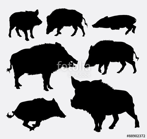 500x473 Wild Boar Silhouette Stock Image And Royalty Free Vector