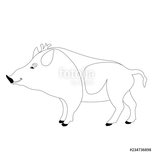500x500 Cartoon Wild Boar, Vector Illustration, Lining Draw Stock Image