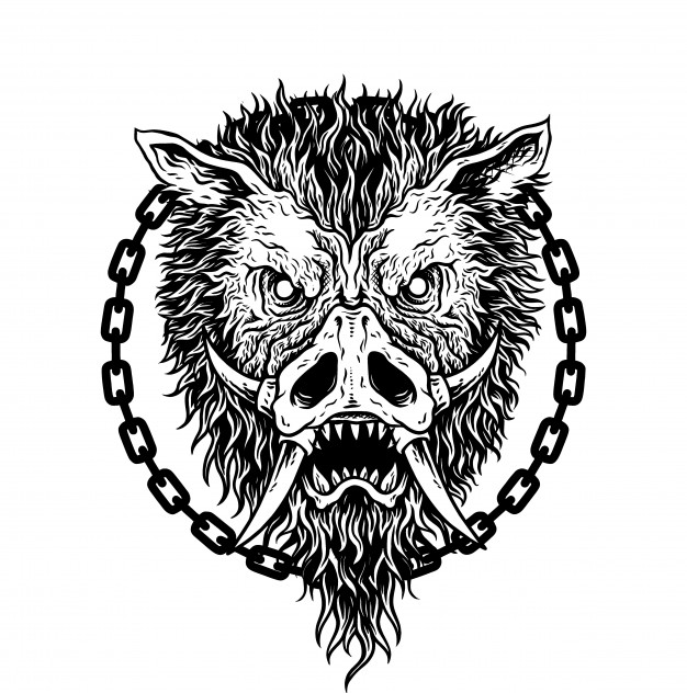 626x632 Drawing Pig Or Wild Boar Vector Premium Download
