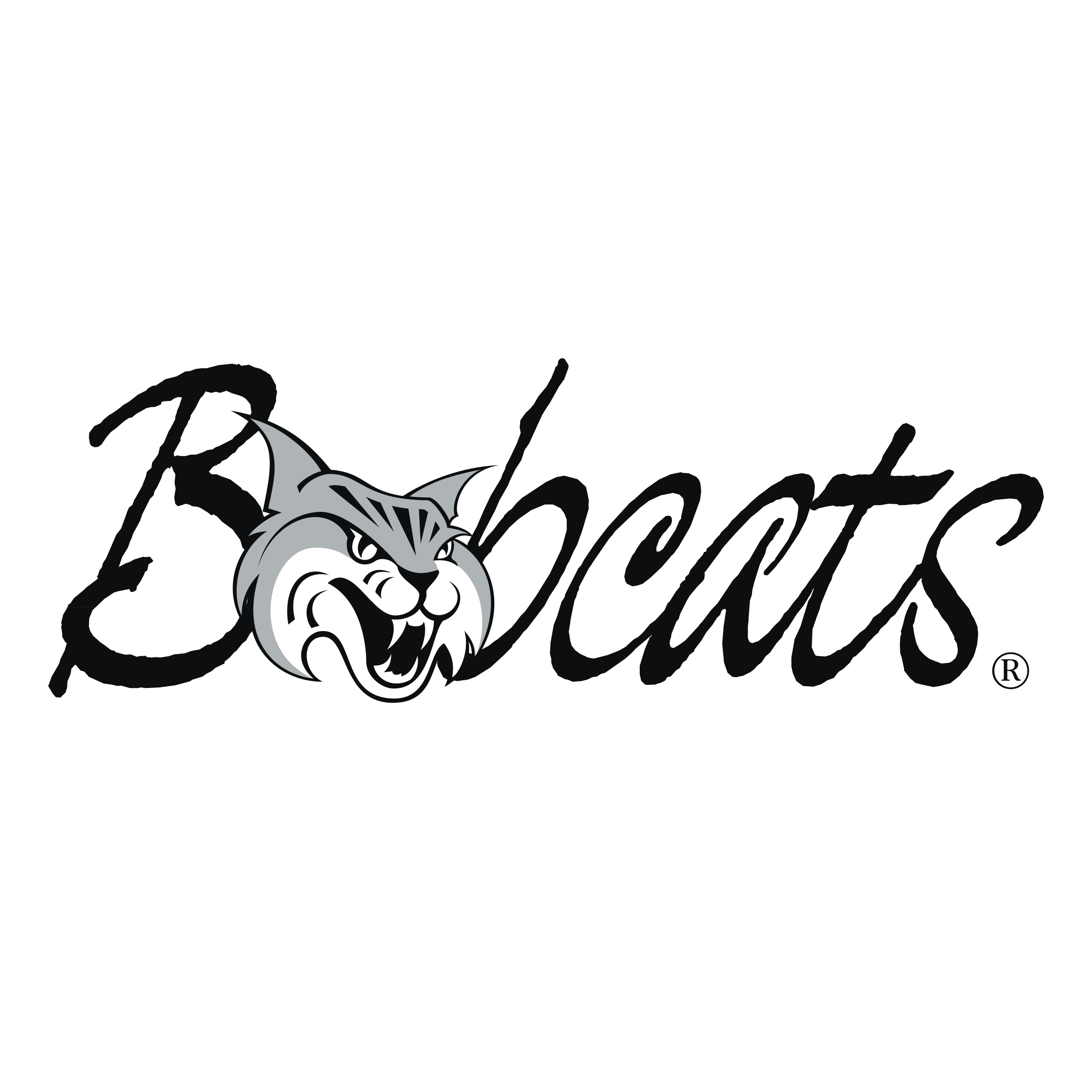 2400x2400 Bobcats Logo Png Transparent Vector