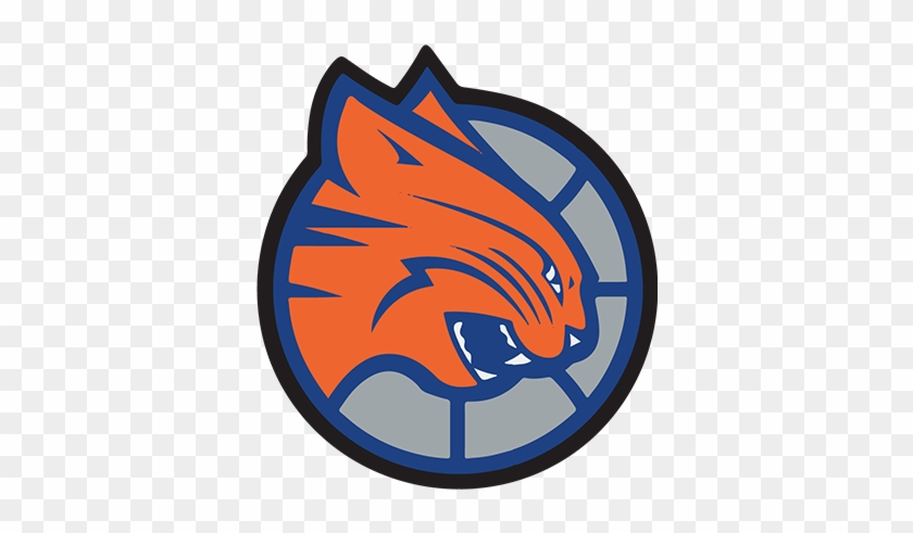 840x491 Charlotte Bobcats Alt Logo, Hd Png Download