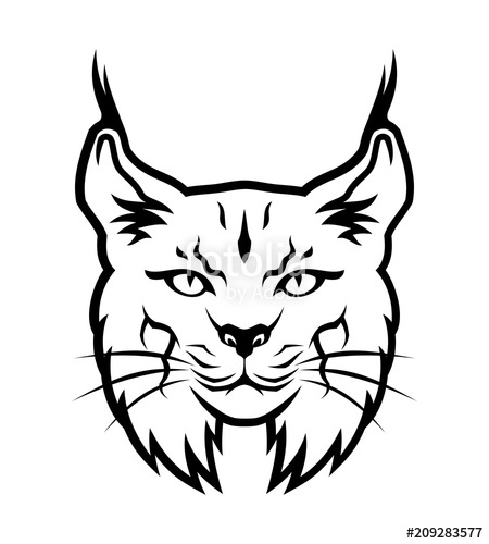 450x500 Bobcat Outline Silhouette Stock Image And Royalty Free Vector