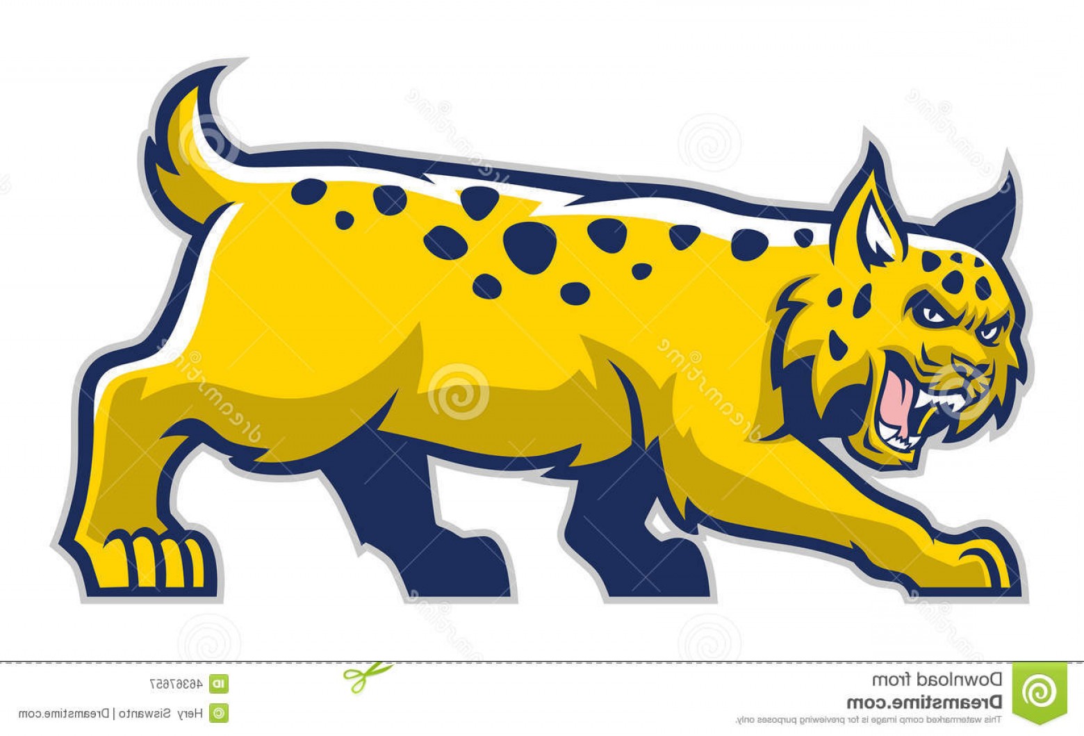 1560x1059 Stock Illustration Bobcat Mascot Vector Angry Image Geekchicpro