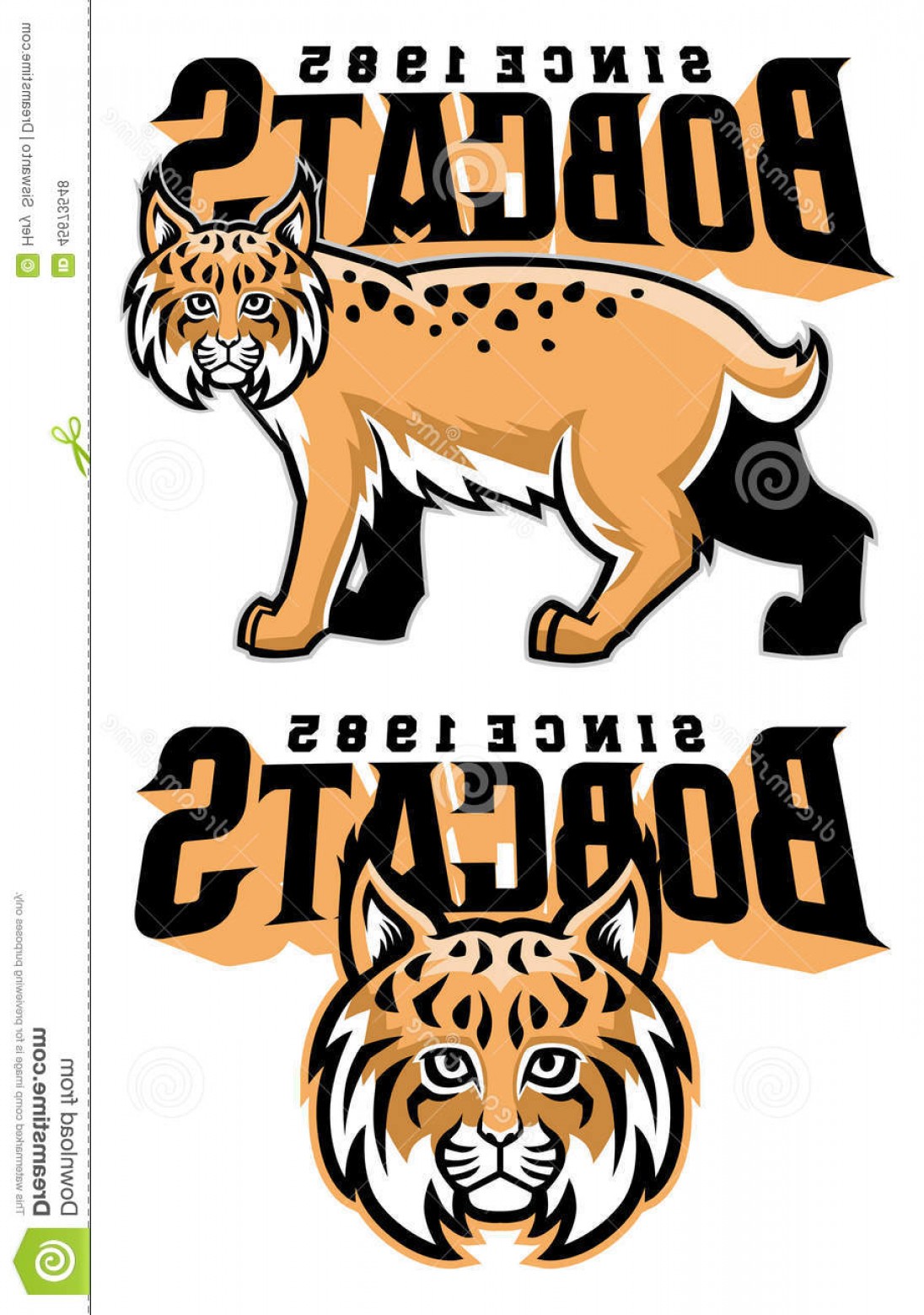 1096x1560 Stock Illustration Bobcat Mascot Vector Head Comes Separated Image