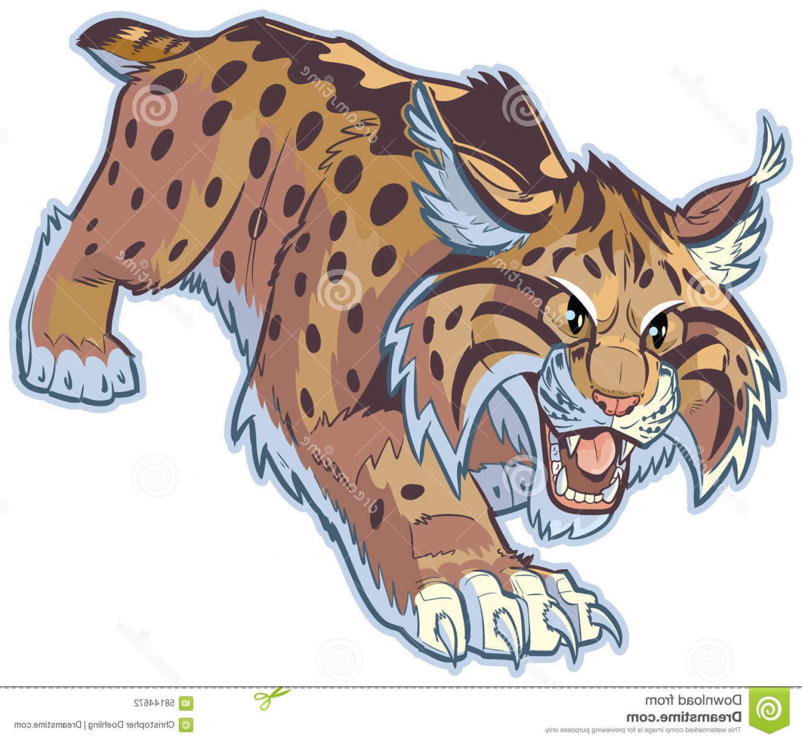 1560x1443 Stock Illustration Bobcat Wildcat Vector Mascot Illustration