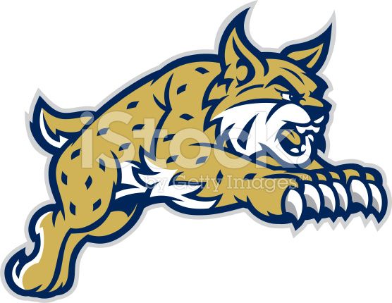 556x430 This Leaping Bobcat Mascot Is Great For Any School Based Design
