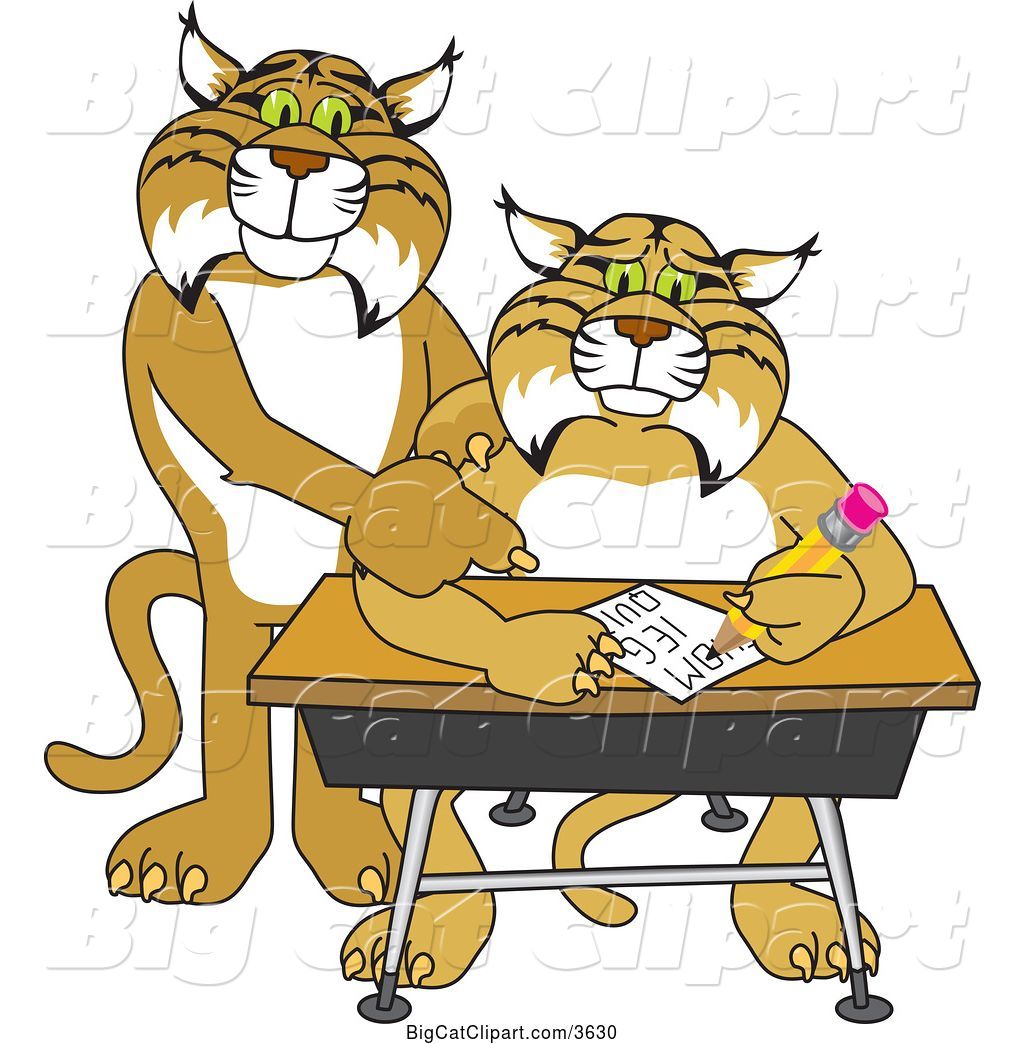 Vector Clipart Of A Bobcat School Mascot Tutoring A Worried 1024x1044 Vector Clipart Of A Bobcat School Mascot Tutoring A Worried