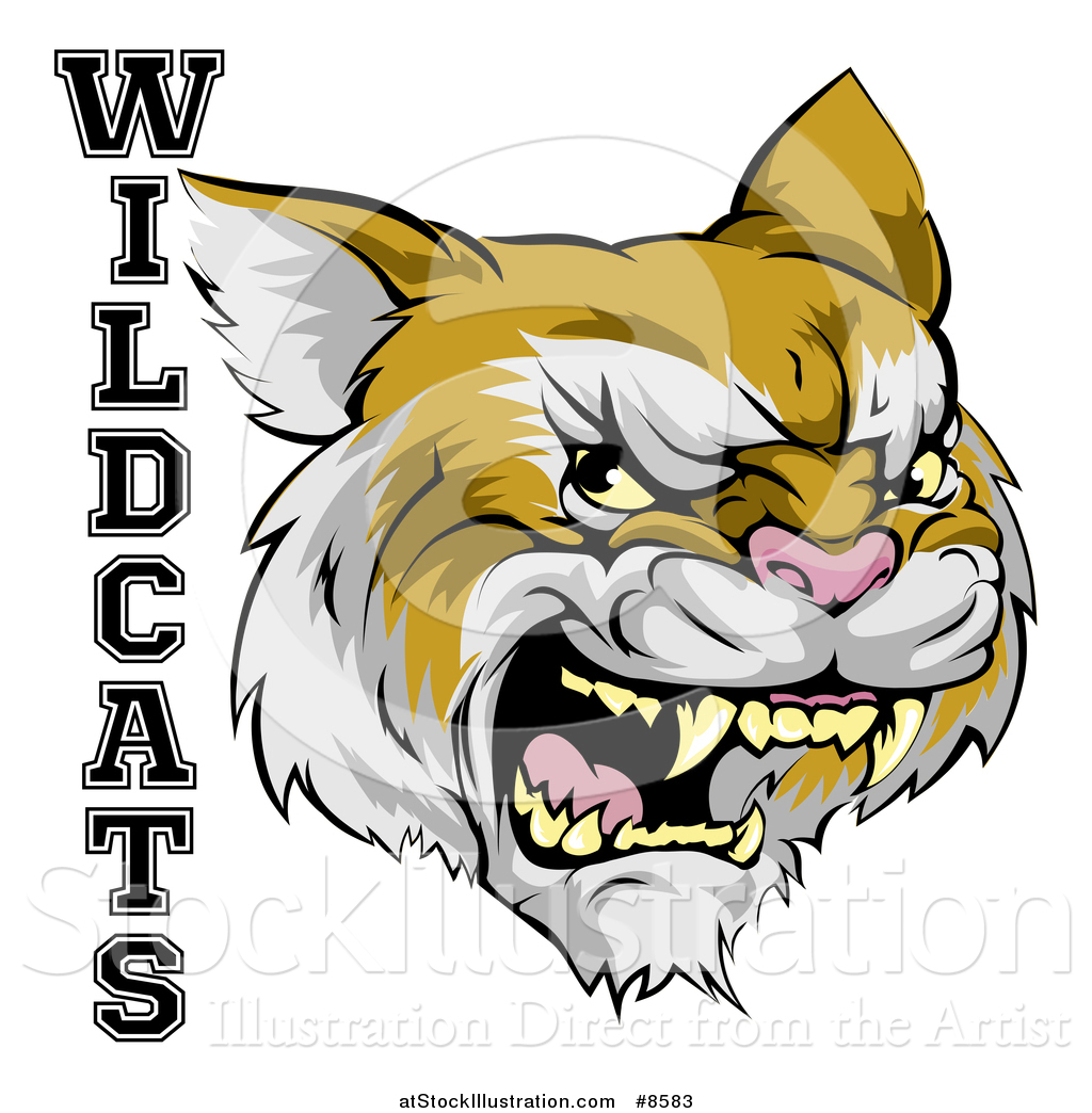 Vector Illustration Of A Roaring Aggressive Bobcat Mascot Head 1024x1044 Vector Illustration Of A Roaring Aggressive Bobcat Mascot Head