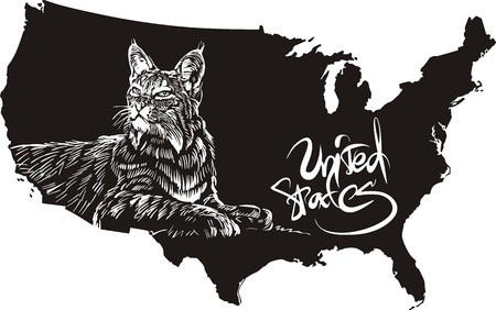 450x282 Bobcat And U S Outline Map Black And White Vector Illustration