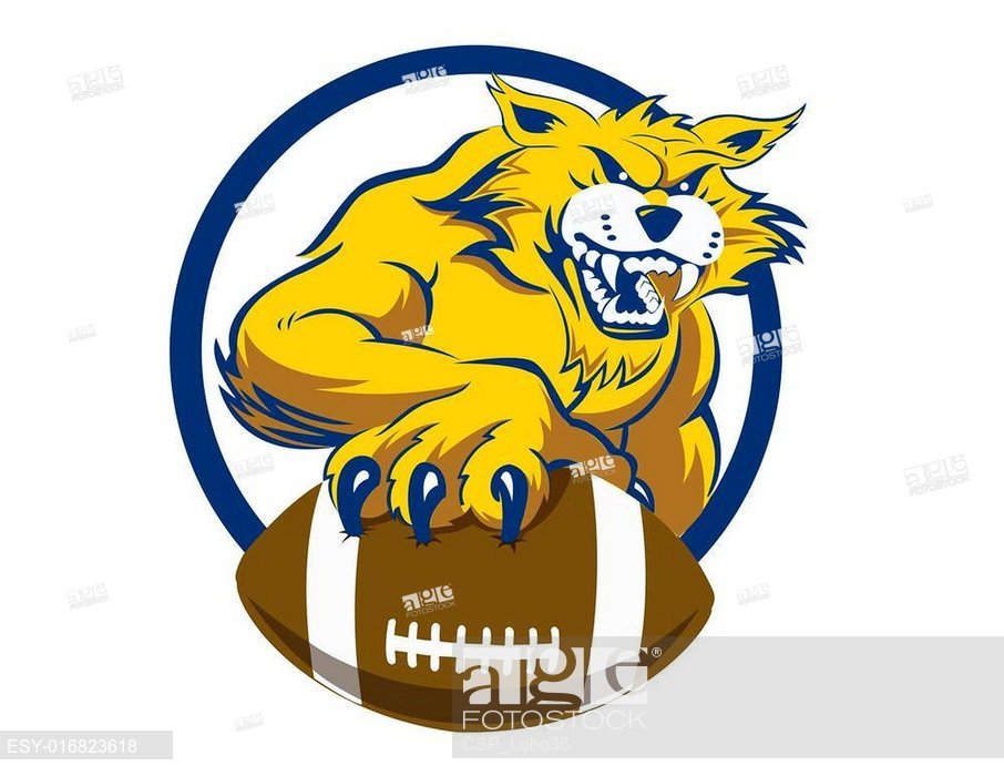 906x700 Bobcat With Football, Stock Vector, Vector And Low Budget Royalty