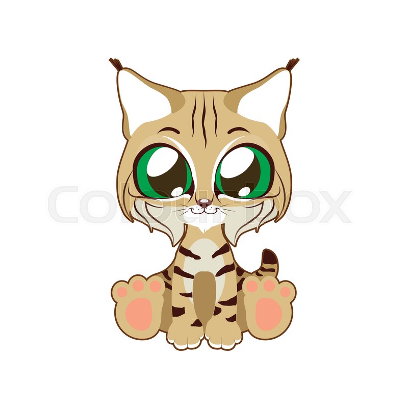 800x800 Cute Bobcat Vector Illustration Art In Stock Vector Colourbox