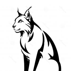 300x300 Photostock Vector An Angry Looking Wildcat Or Bobcat Mascot Animal