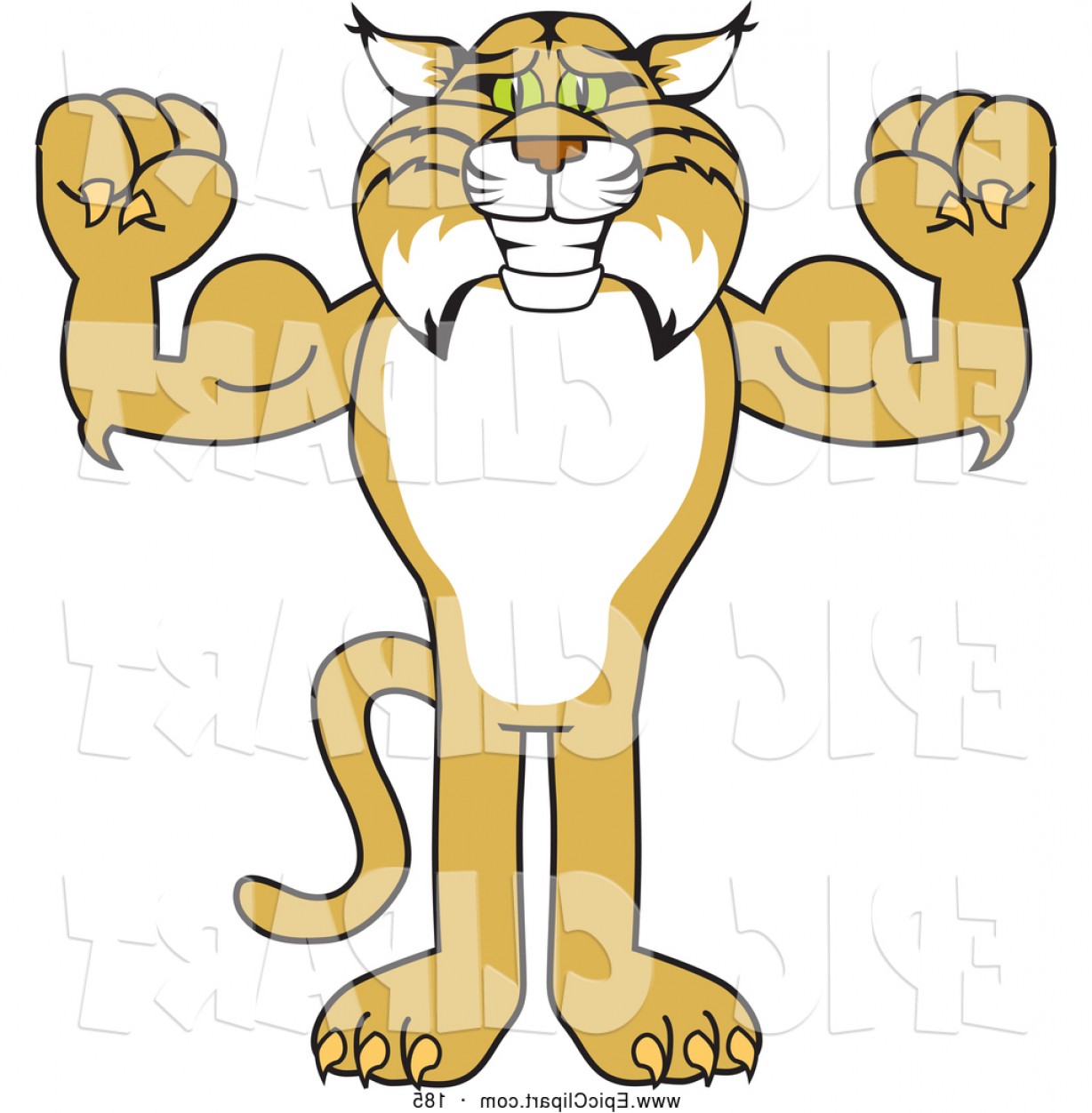 1228x1252 Vector Clip Art Of A Cheerful Bobcat Character Flexing
