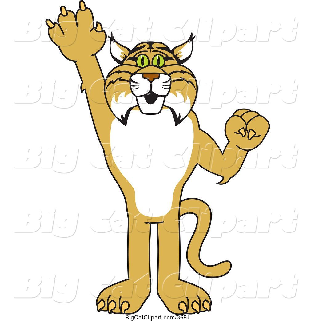 1024x1044 Vector Clipart Of A Cartoon Bobcat School Mascot Holding Up A Hand