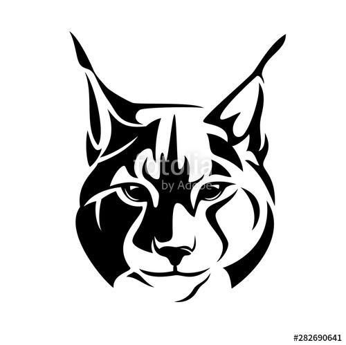 500x499 Wild Lynx Looking Straight Forward