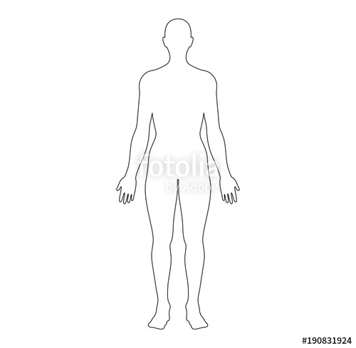 body outline drawing