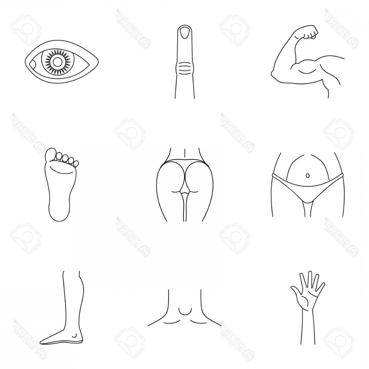 1560x1560 Human Body Outline Vector Lamaison