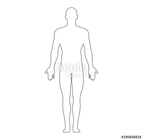 500x489 Anatomical Position Anterior View Male Body Outline Vector