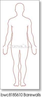 166x382 Human Body Outline, Art Print Barewalls Posters Prints