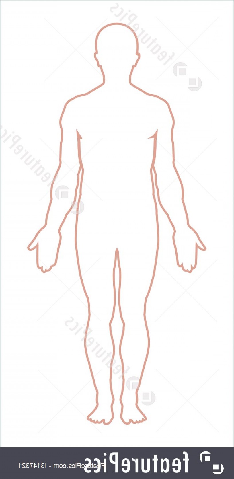 816x1670 Male Body Outline Vector Illustration Soidergi