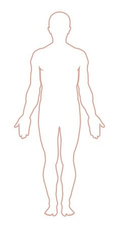 Body Outline Vector at Vectorified.com | Collection of Body Outline