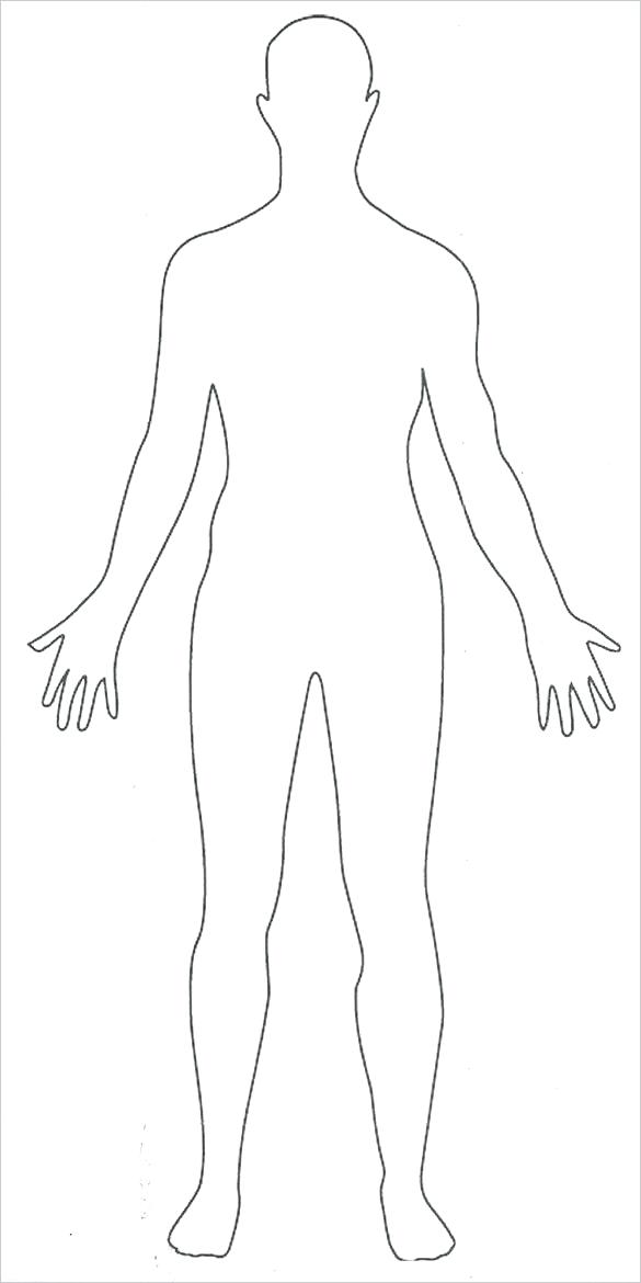 585x1170 Outline Body Human Body Outline Vector Image
