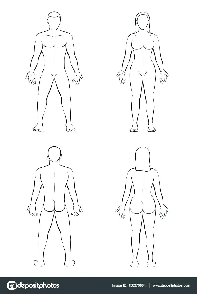 Female Body Outline Front And Back